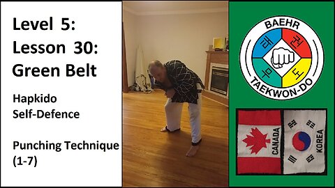 Baehr Taekwondo: 05-30: Green Belt - Self-Defence - Punching Technique (1-7)