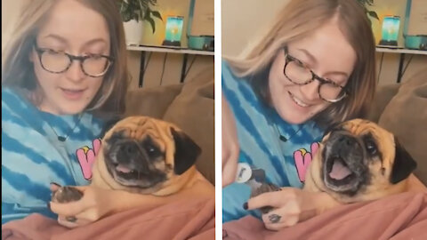 dramatic dog 🐕‍🦺shouts like human😂😂