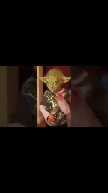 Yoda Cutting Some Rug