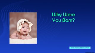 Video Bible Study: Why Were You Born? Meaning/Purpose of Life