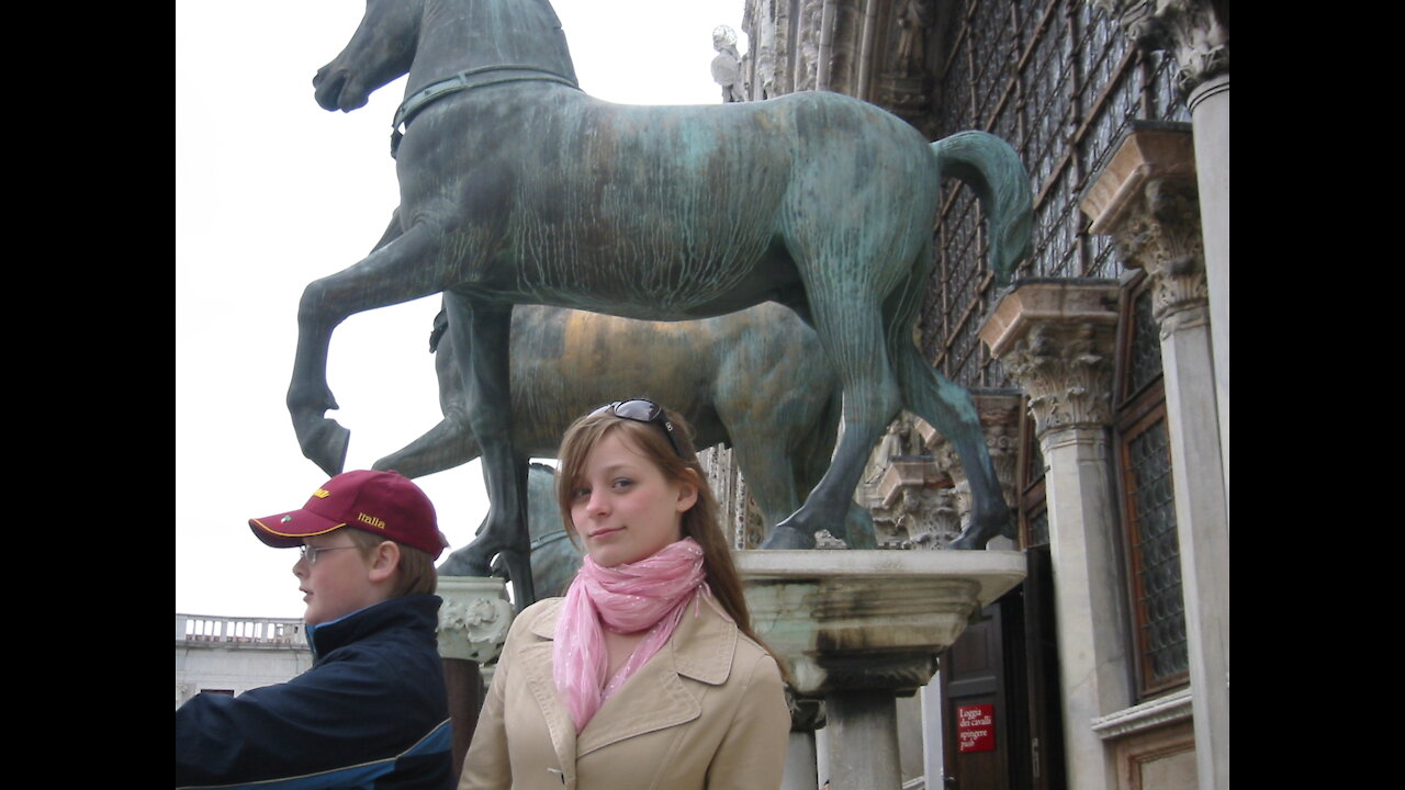Davids Dogs of Venice
