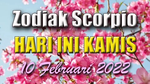 Ramalan Zodiak Scorpio Hari Ini Kamis 10 Februari 2022 Asmara Karir Usaha Bisnis Kamu!