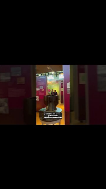 Amazing Wildlife Viewing Spot Near Denver #Shorts