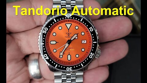 Tandorio Automatic Watch Orange Face