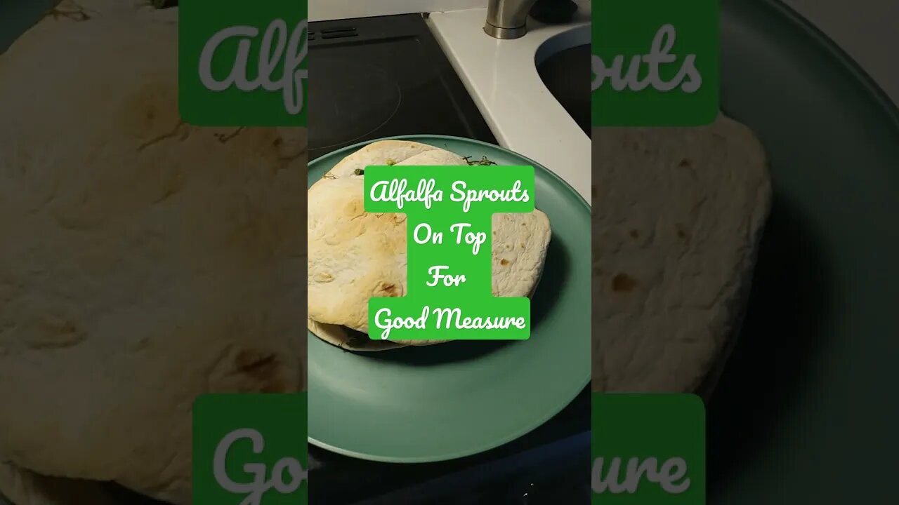 Healthy Vegan Lunch 🌴🥥🥙