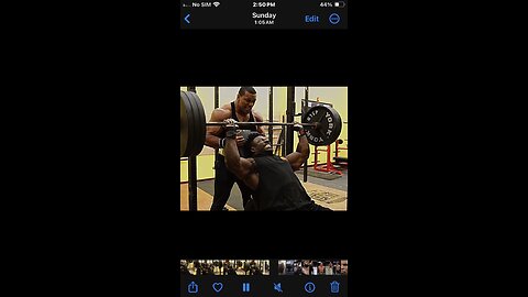 FREE! Body builder clips- 1