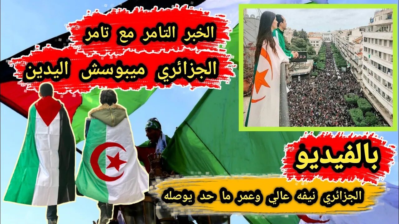 الجزائري 🇩🇿 ميبوسش اليدين | الجزائري نيفه عالي وعمر ما حد يوصله 💪