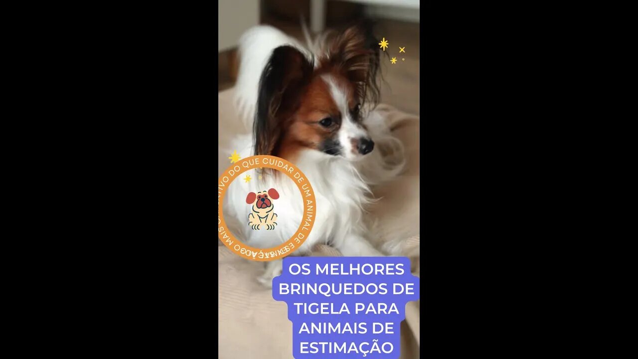 Melhor brinquedo de tigela de animal de estimação para seu amigo peludo