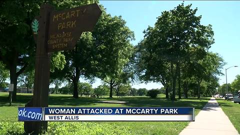 Milwaukee County Sheriff: McCarty Park sexual assault suspect at large