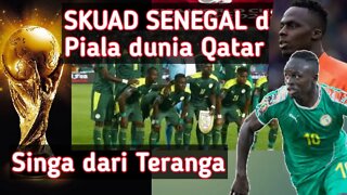 Skuad Senegal di piala dunia 2022 Qatar _ Kuda Hitam dari Afrika