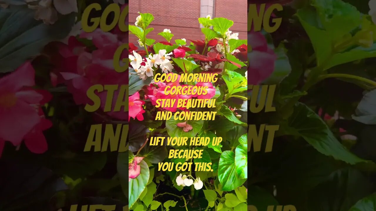 Thank you viewers for your support #blackyoutube