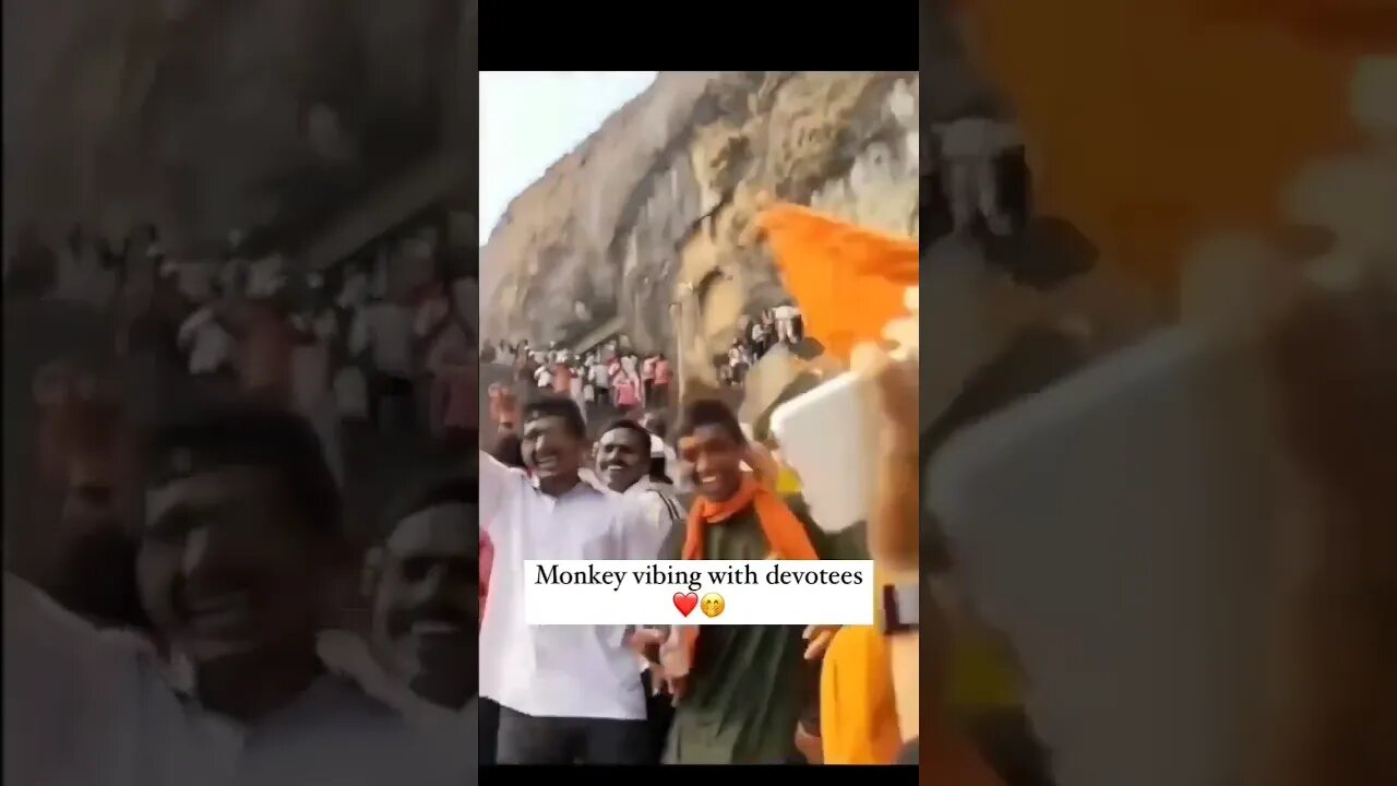 Monkey Vibing with Devotion (Jai Shree Ram)#jaibajrangbali#jaishreeram #bajarangbali_status#shreeram