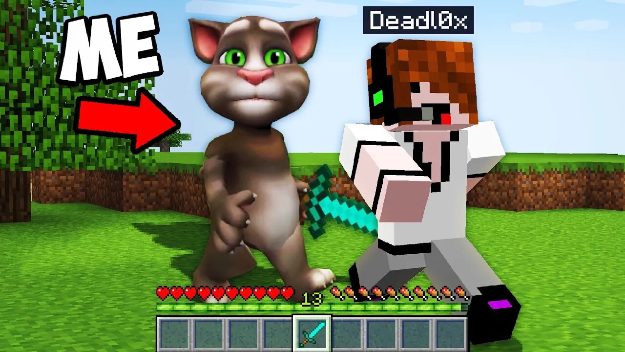 Trolling As TALKING TOM in Minecraft