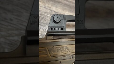 What is your best budget friendly AR style 22-LT?! RIA TM22 less than $200