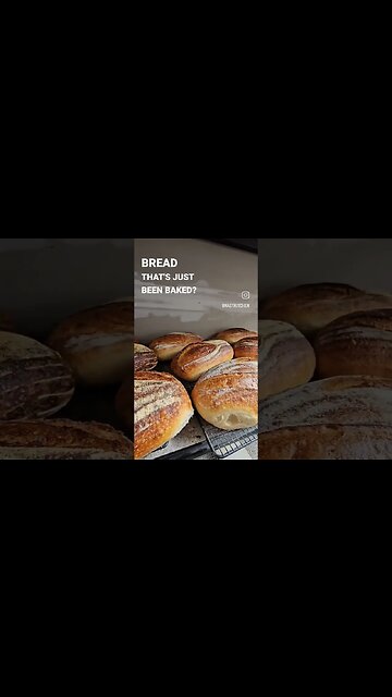 THIS IS THE REAL SOURDOUGH SOUND #lievitomadre #bread #sourdoughbaking #sourdough #food #baking