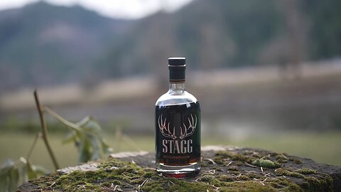 Stagg 24 B