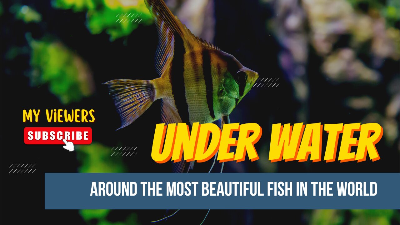 Nature's Aquarium:Discovering Underwater Fish Wonder)Nature view/ Water fish/Marine life Aquatic