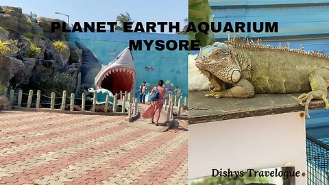 Mysore Planet Earth Aquarium #mysore #planetearth #aquarium