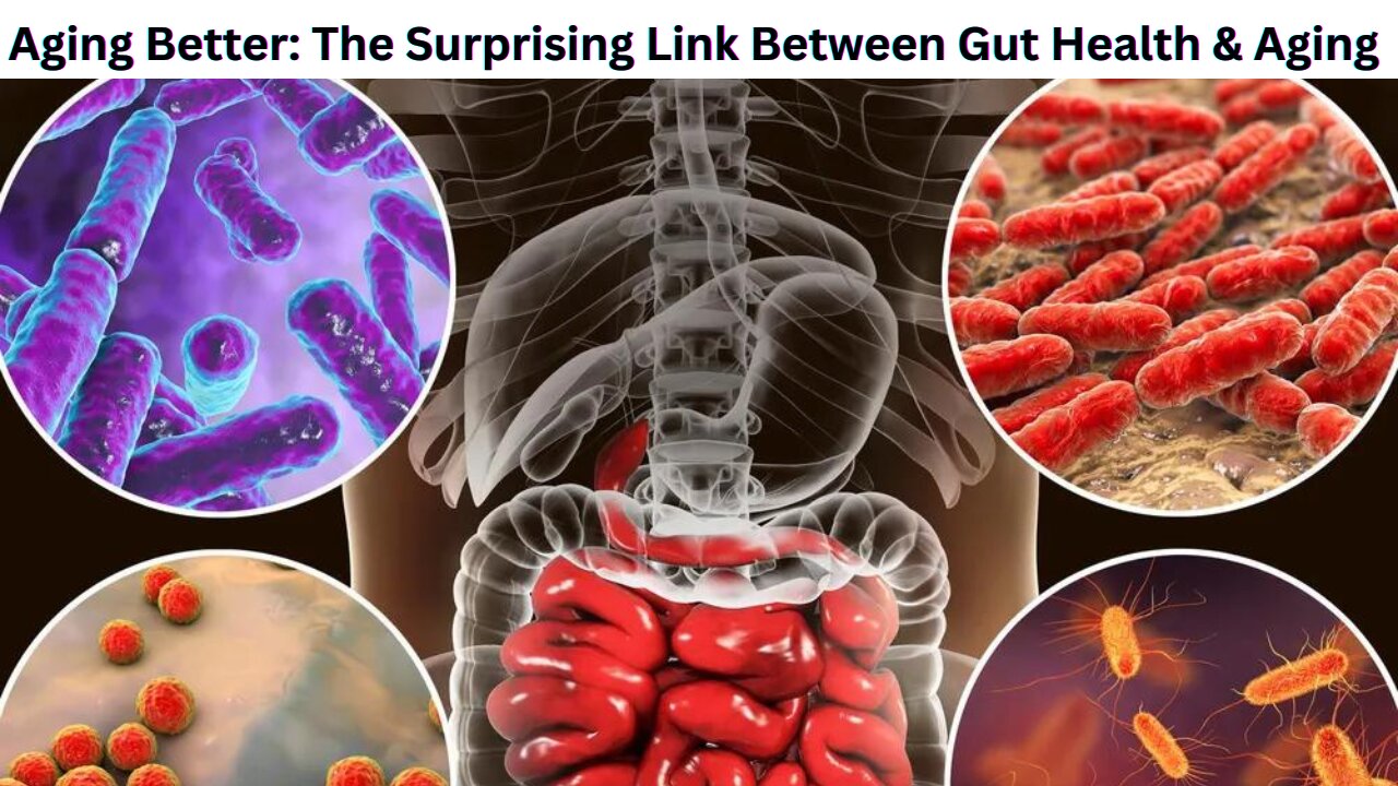 Aging Better: The Surprising Link Between Gut Health & Aging