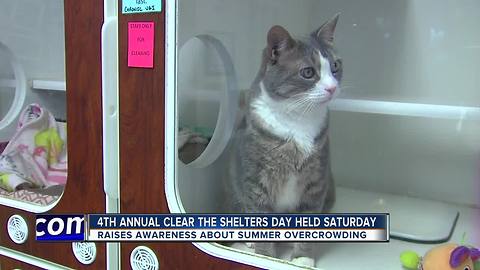 4th Annual Clear the Shelters Day Held Saturday