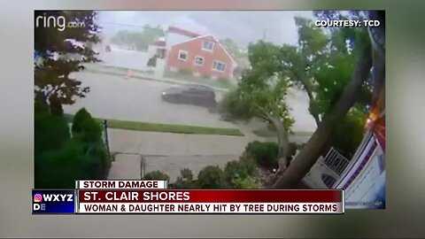 Wind takes down large tree onto home in St. Clair Shores