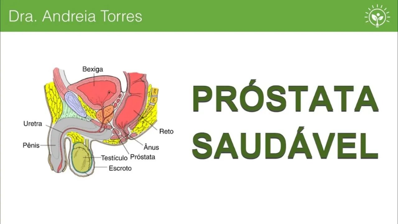 URGENTE: COMO VOCE PODE CUIDAR BEM DA SUA PROSTATA