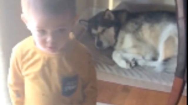 Caring toddler tells his dog "I Love You" before leaving