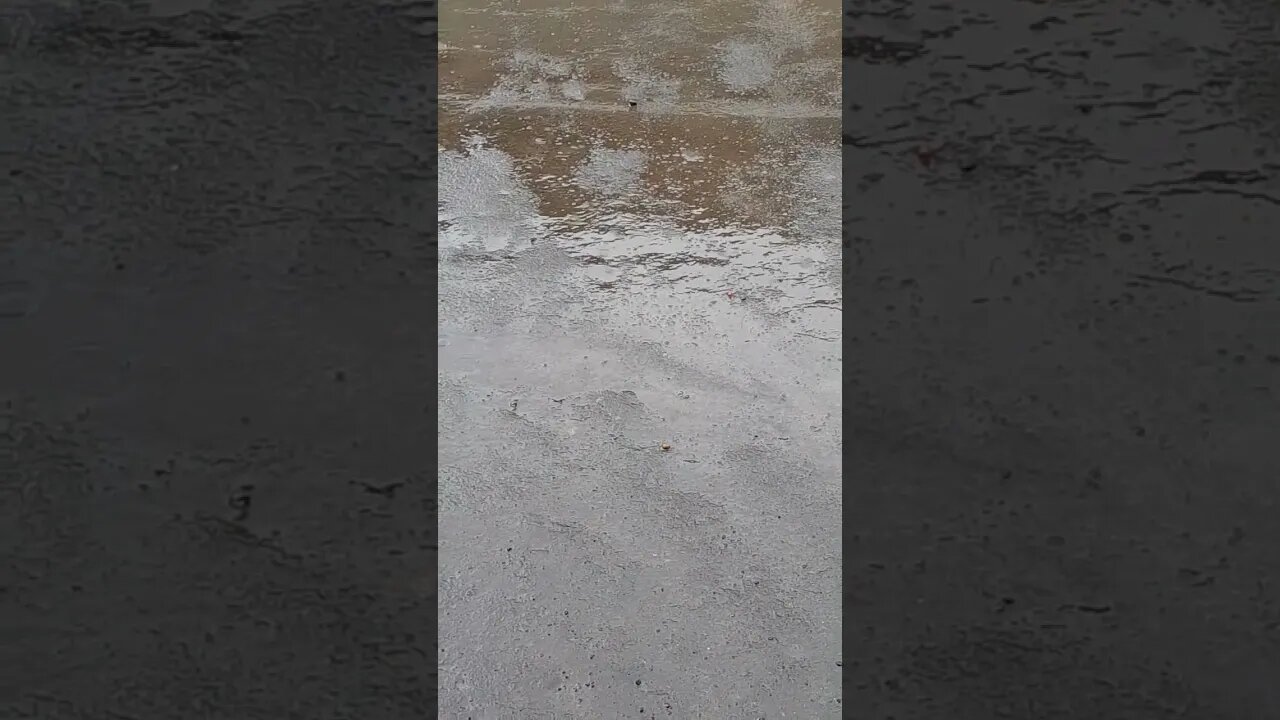 Light rainsounds #relaxing #sleep #love #nature #viral #beach #chill #travel #rain