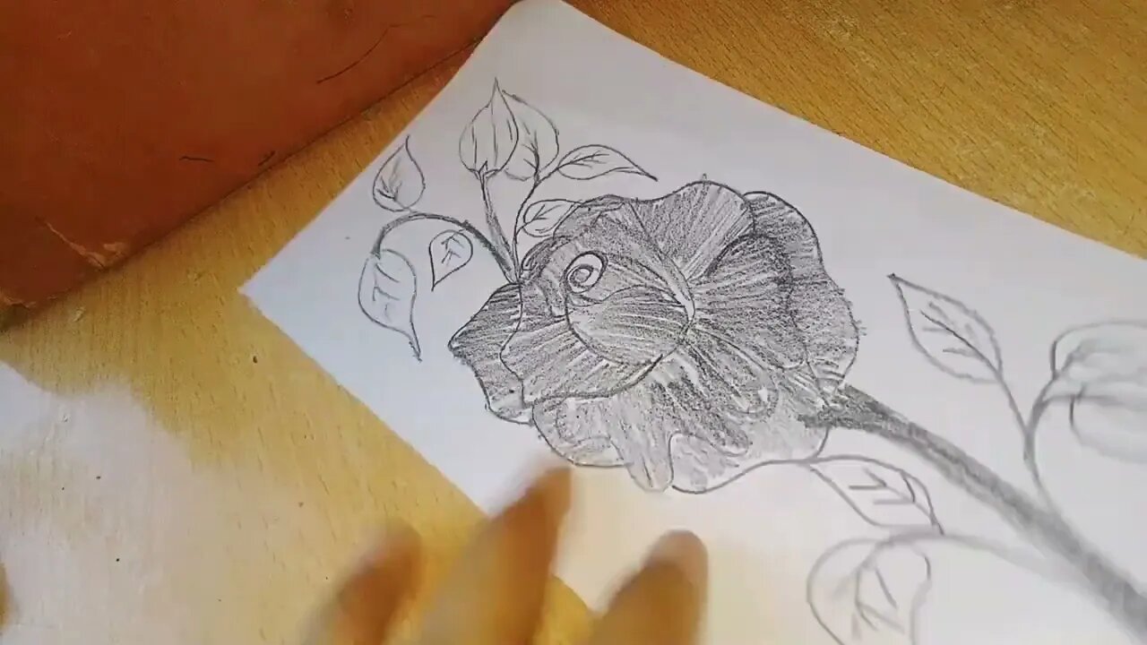 How to Draw a Rose Step by Step Tutorial