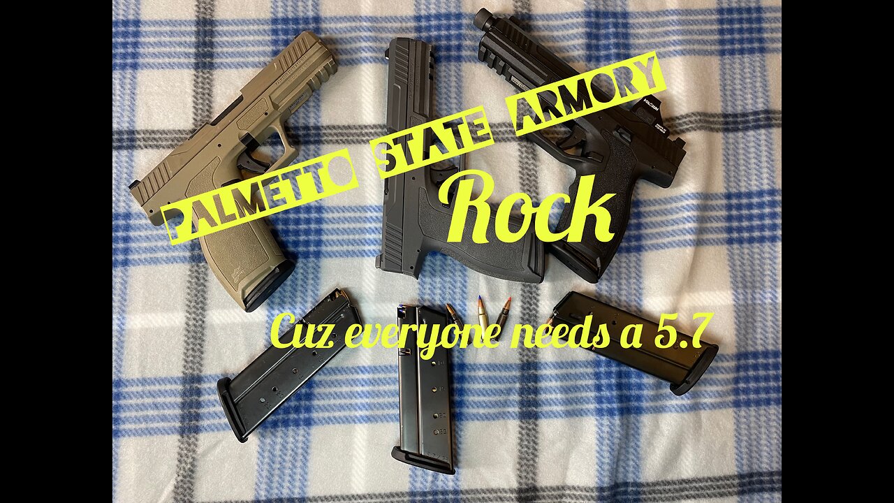 Palmetto State Armory Rock Review