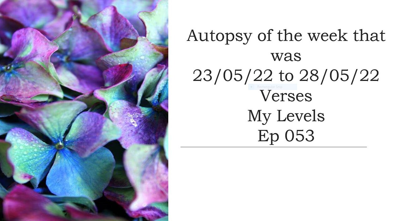Ep 053 Autopsy of last weeks levels