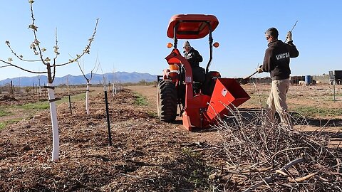 End of Winter | Chipping Trees and Prepping for Spring