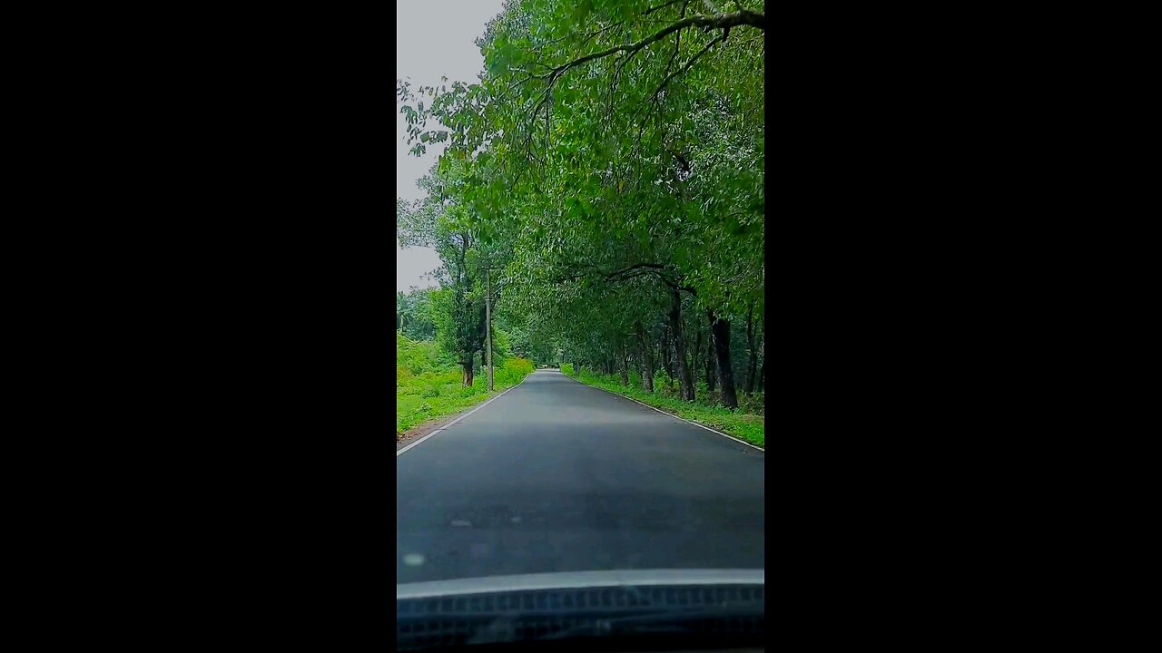 One of the peaceful roads in goa....