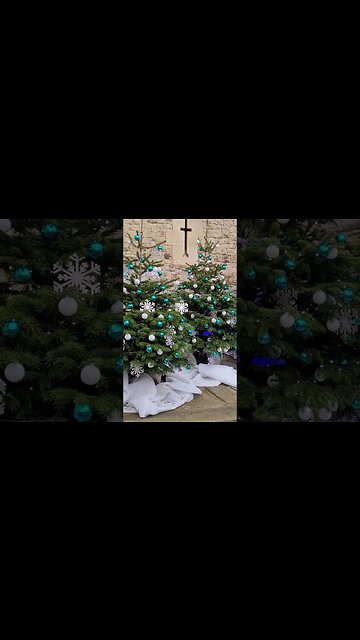 Christmas and the polabear #toweroflondon