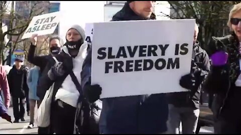 "THEY LIVE" - (today´s edition)