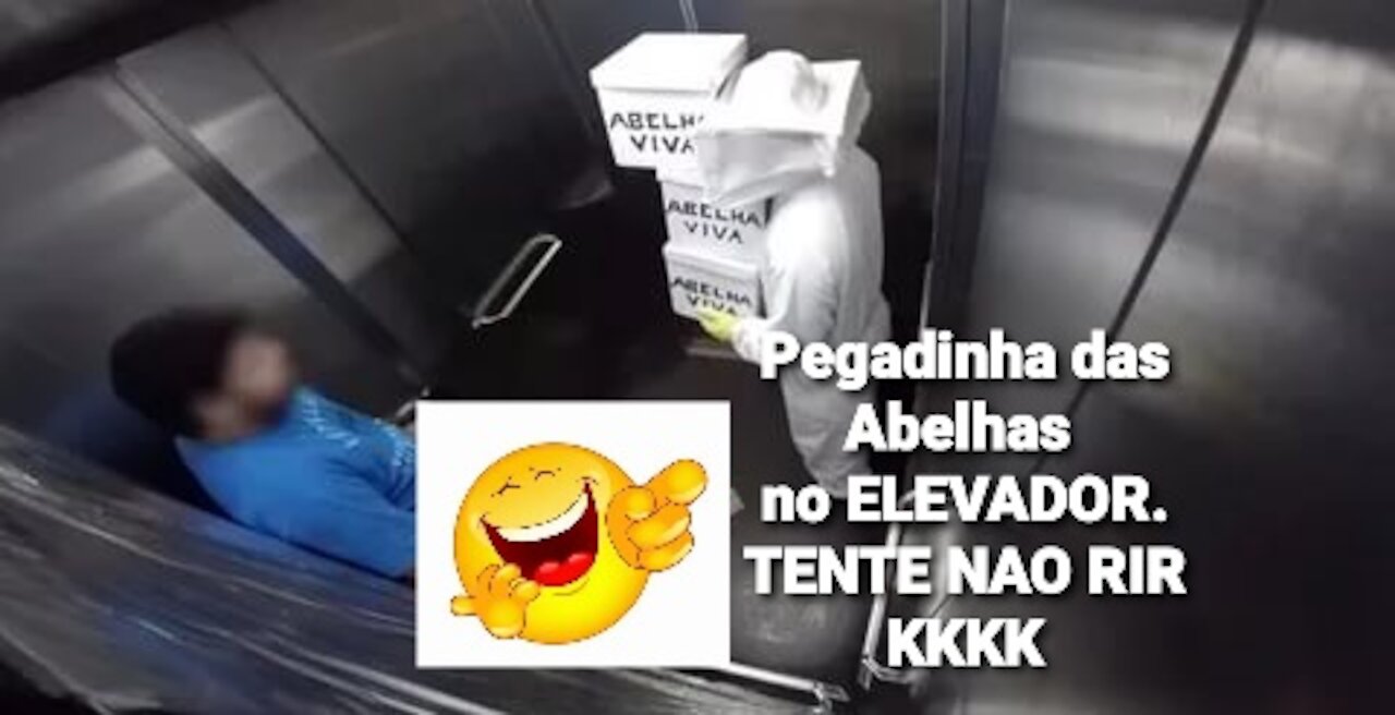 Pegadinha das Abelhas no ELEVADOR! Vamos rir kkk