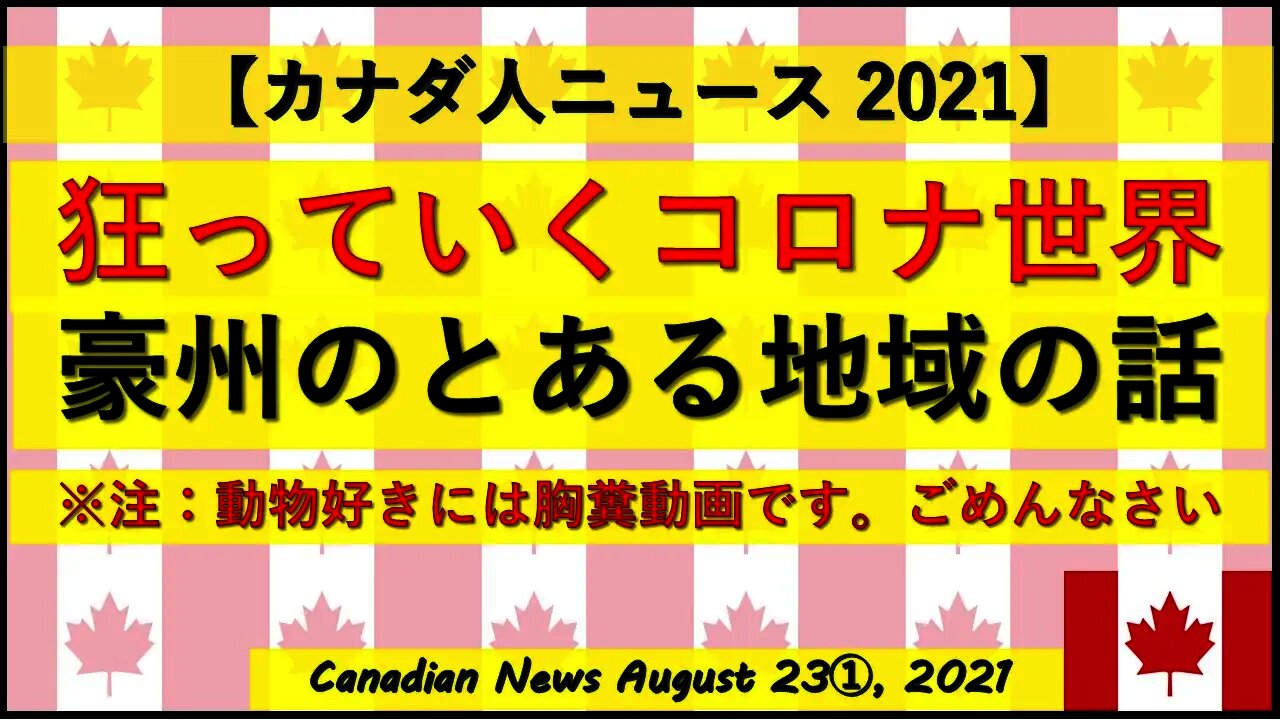 【注意：気分のいい動画ではありません】オーストラリアの話