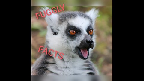 FUGGLY PHOBIA FACTS!!