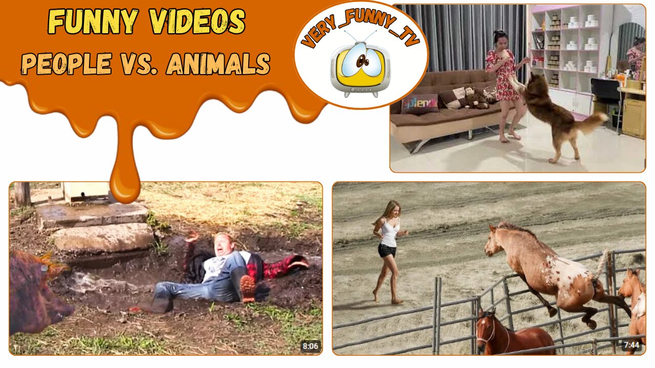 Funny videos / people vs. animals