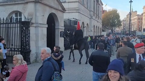 Horse gets spooked by by workmen taking Down speakers used on remberence Sunday #horseguardsparade