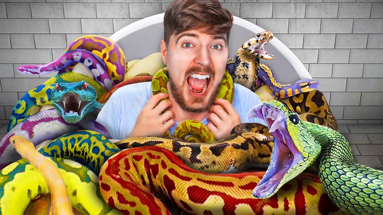 Would You Sit In Snakes For $10,000? 2021