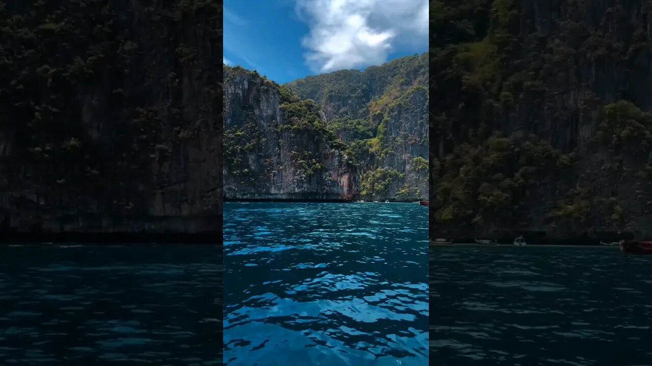 我见众生皆草木 唯有见你是青山