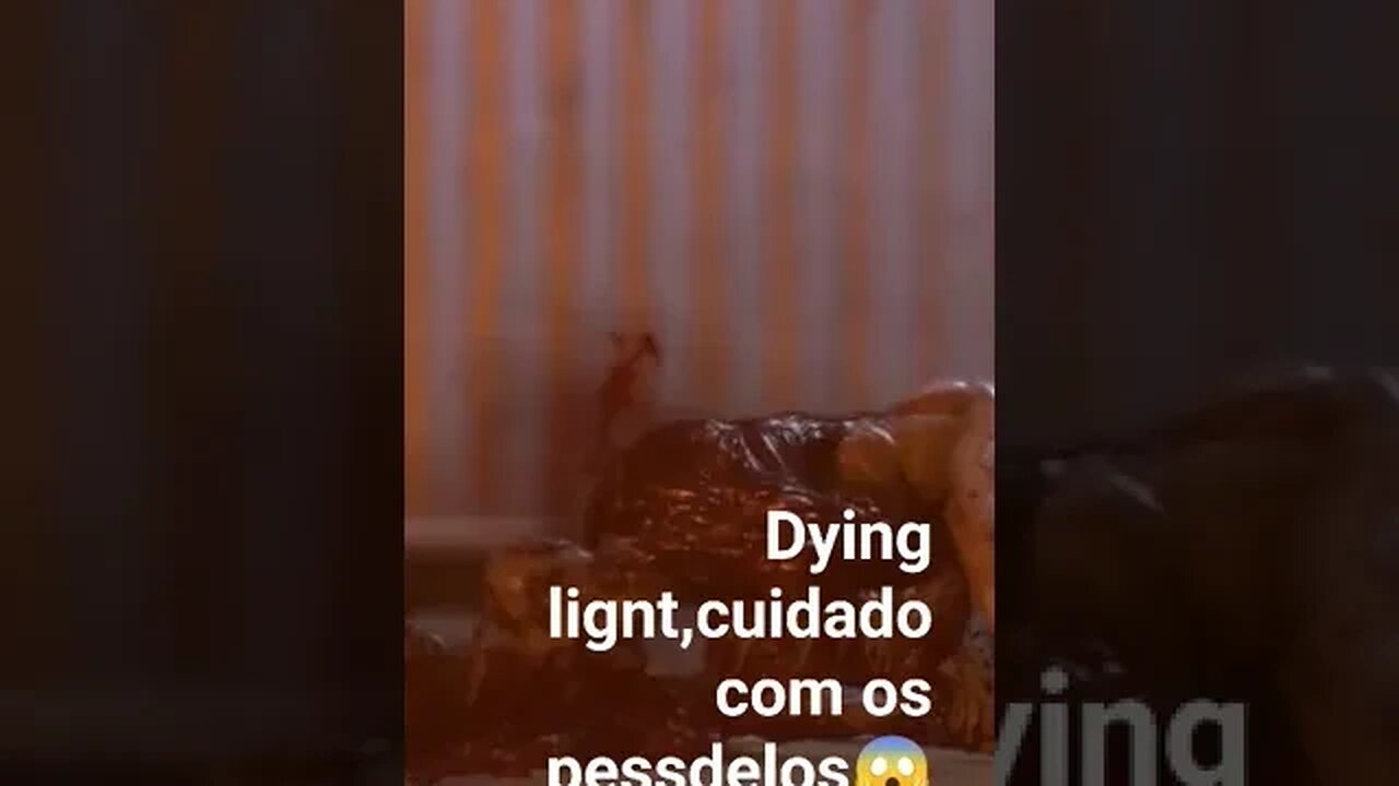 9 de julho de 2023