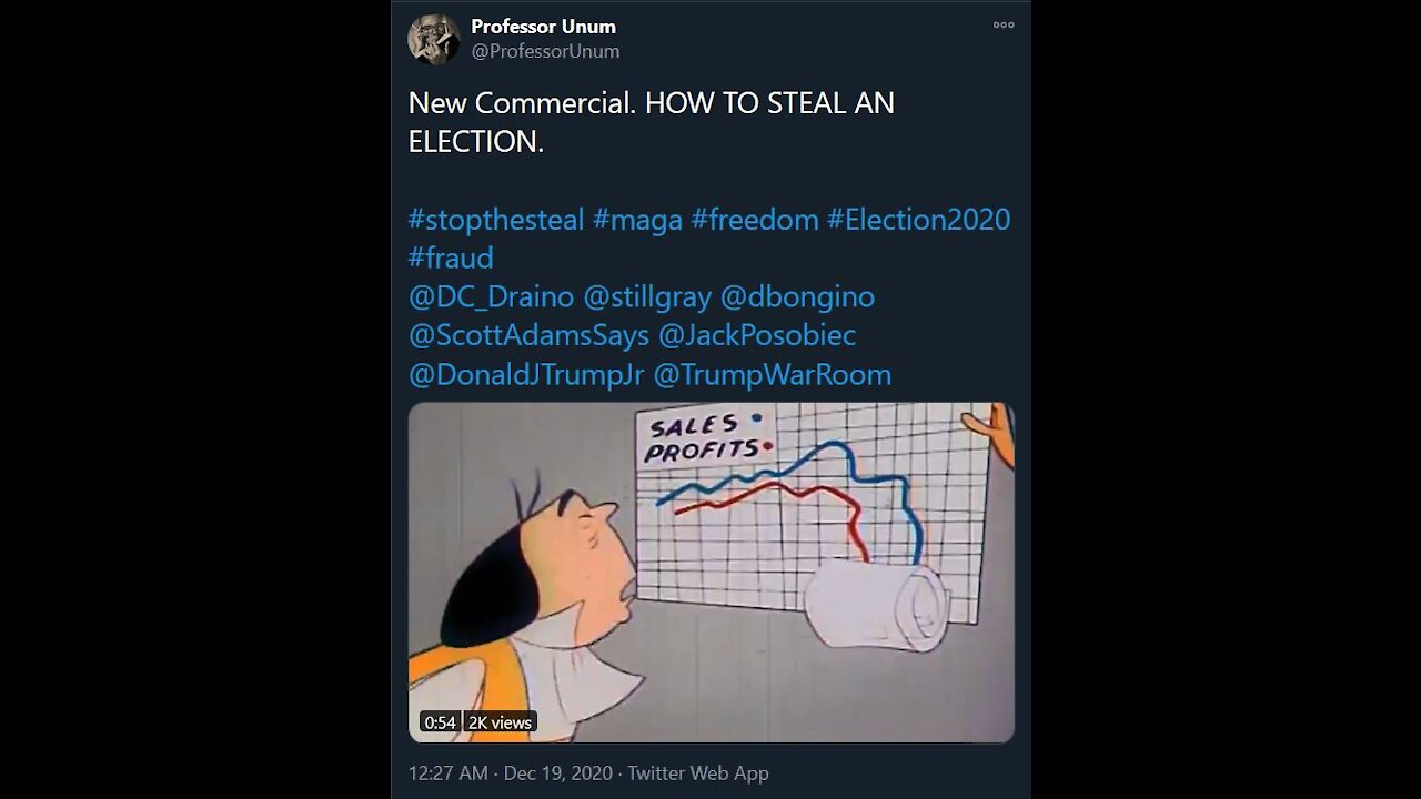 How To Steal An Election by Professor Unum