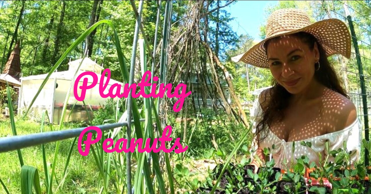 Companion Planting with Peanuts