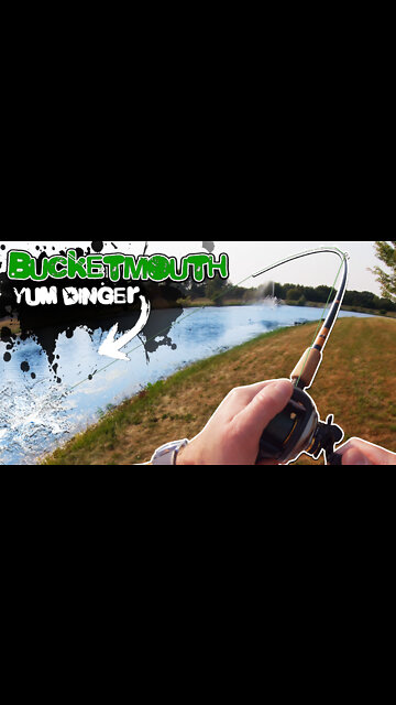Largemouth Bass Fishing a YUM Dinger Stickbait on an Extremely Hot Morning (Bank Fishing)