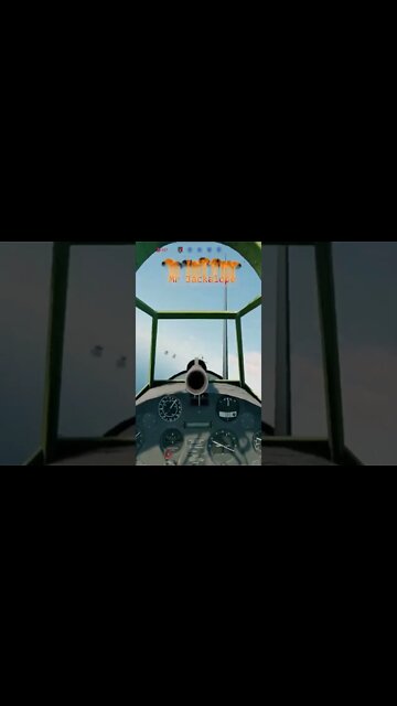 Enlisted Shorts Wings of Fury