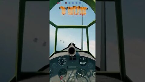 Enlisted Shorts Wings of Fury