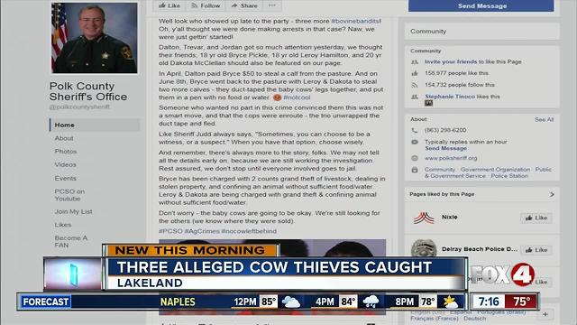 Three arrested in cattle thefts