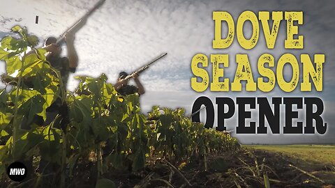 Opening Weekend Dove Hunt in Illinois